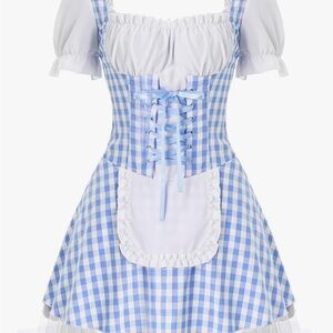 Blue Gingham Dress with Apron